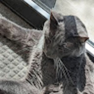 Meet your Posher, Alexander